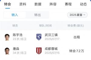 玉昆夏窗汇总：免签罗马尼亚国脚布尔克引进唐淼，两外援撤销报名图片